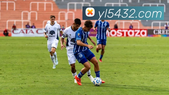 永利娱乐城平台生态图